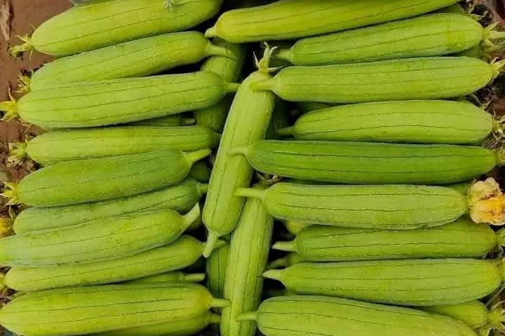 7. Kết luận – Tầm quan trọng của sử dụng đúng cách