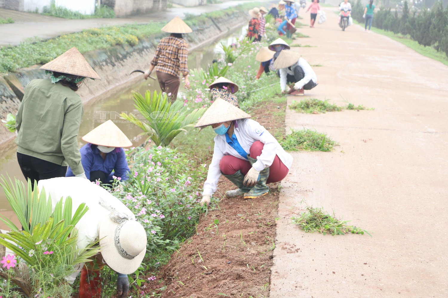 Phú Bình: Duy trì “Ngày chủ nhật xanh” vệ sinh môi trường, giữ ...