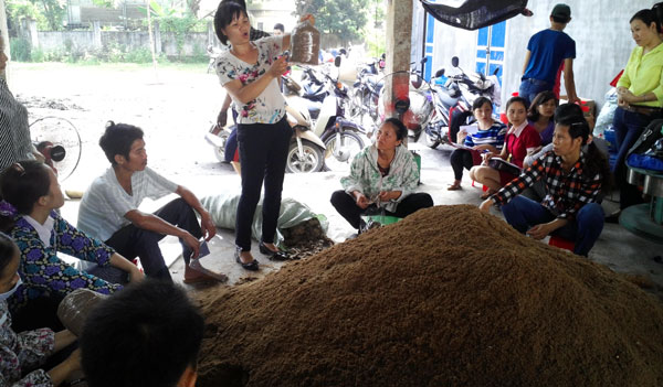 dao tao nghe theo don dat hang cua nha nong hinh anh 1