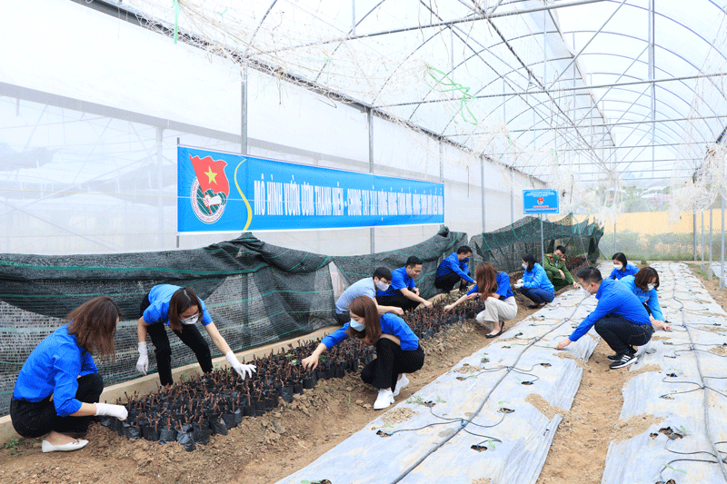 Thanh niên làm vườn hoa tái chế để tuyên truyền chống rác thải nhựa