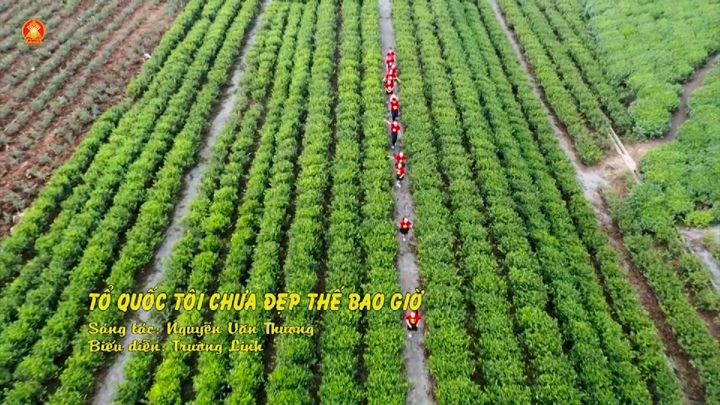 Tổ quốc tôi chưa đẹp thế bao giờ