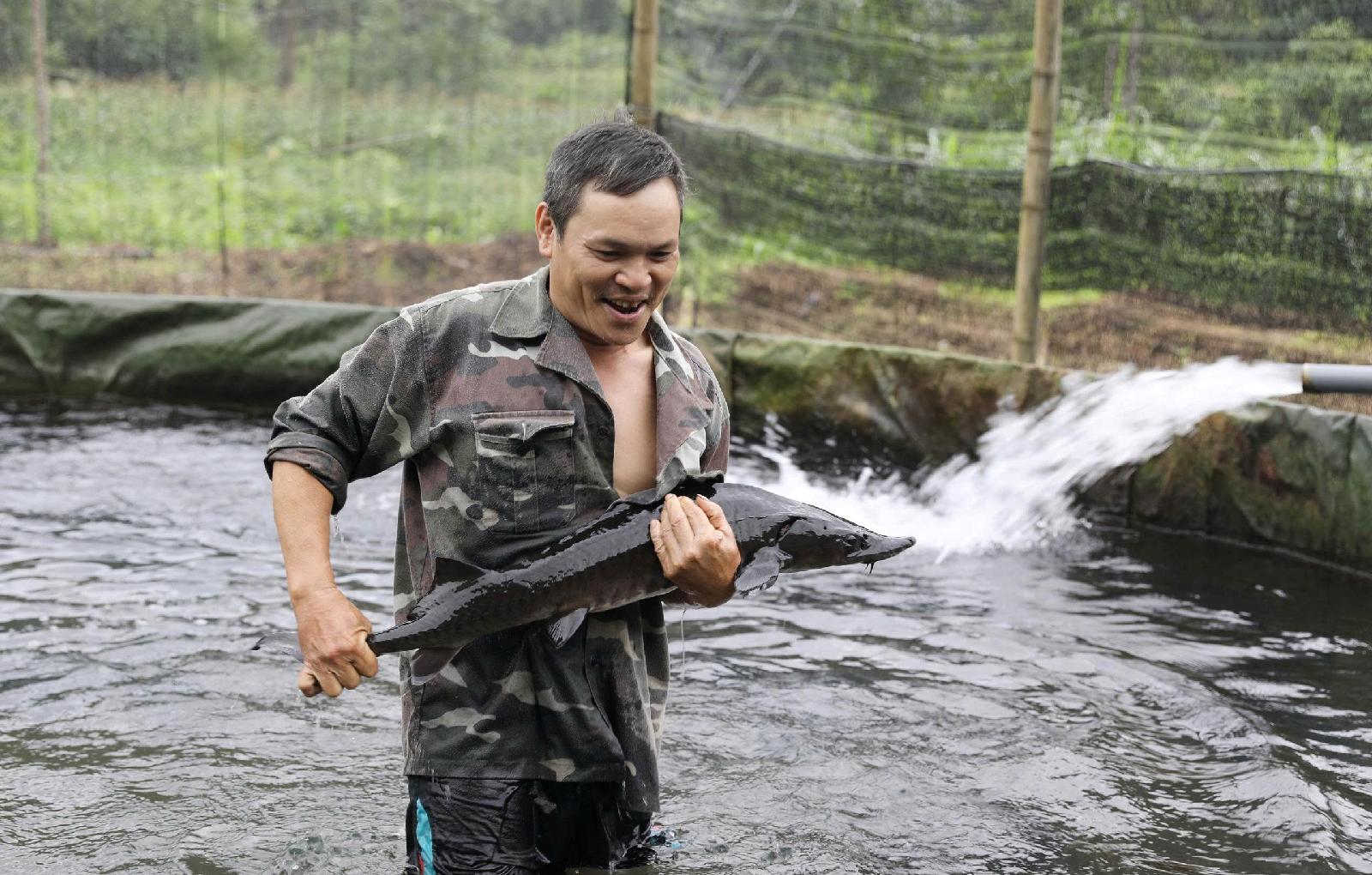 Tạo sinh kế mới cho đồng bào vùng dân tộc thiểu số từ chính sách dân tộc