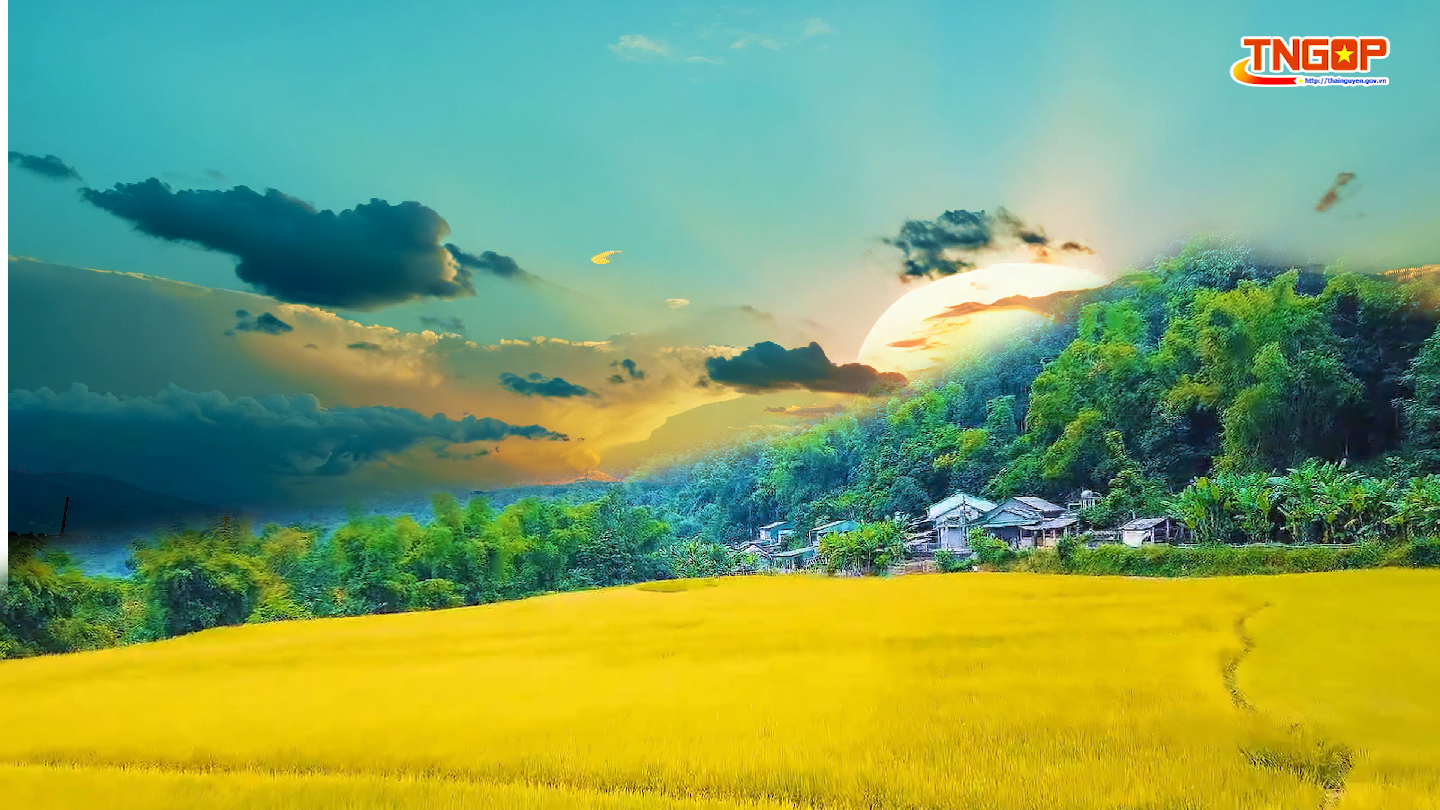 “Mùa vàng” trên đất Bạch Thông